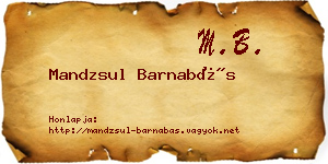 Mandzsul Barnabás névjegykártya