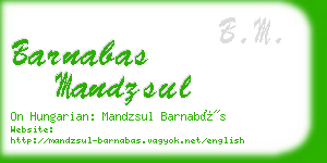 barnabas mandzsul business card